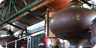 La distillation des alcools et spiritueux : méthodes, secrets et